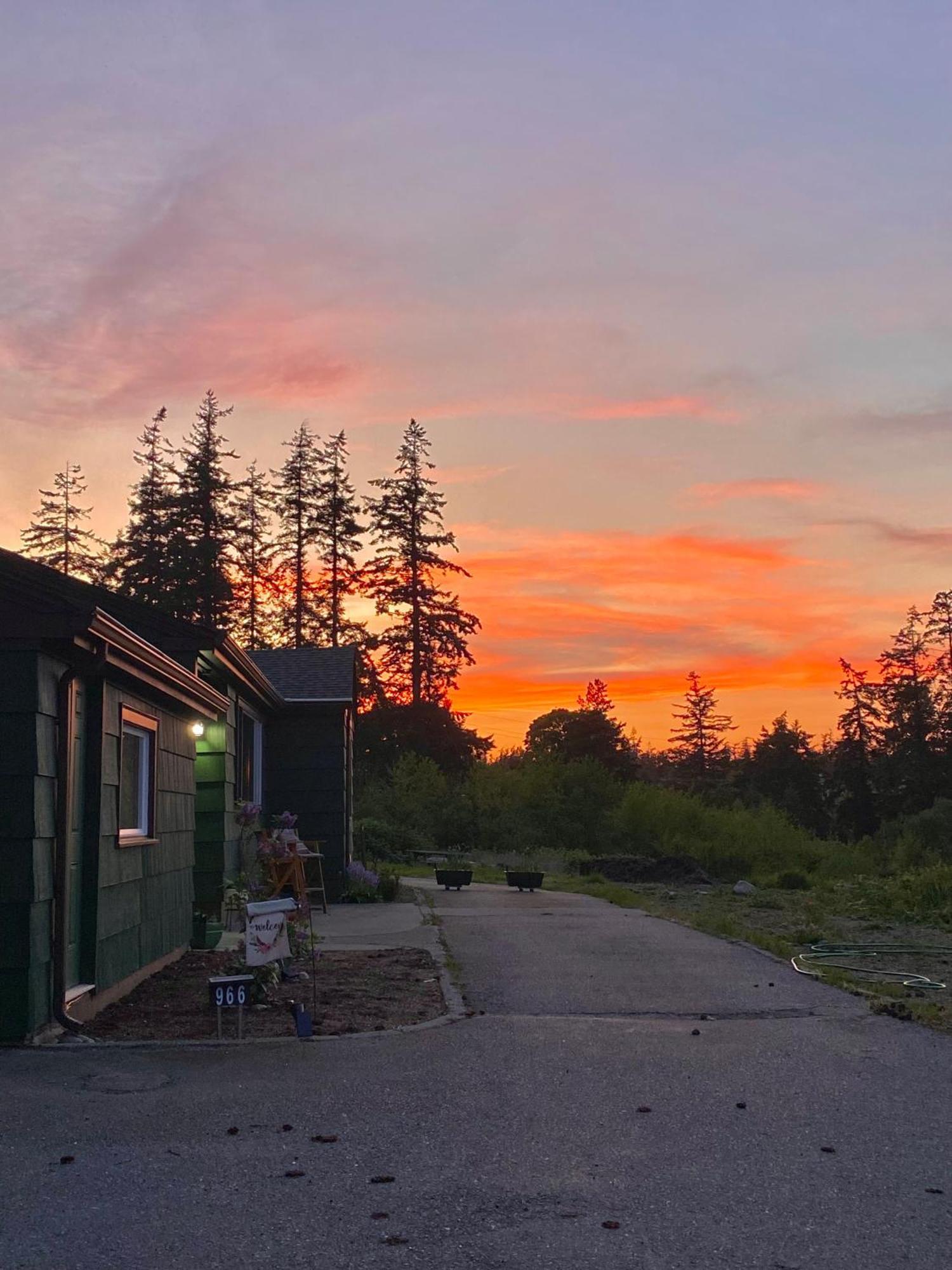Cabin - Hot Tub - Fire Pit - View - Getaway! オークハーバー エクステリア 写真